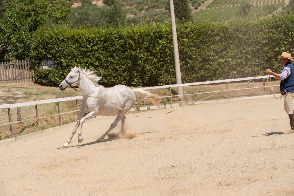 Podere Il Poggiolo Pontassieve Kültér fotó