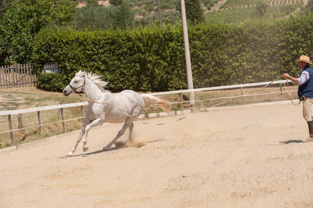 Podere Il Poggiolo Villa Rufina Kültér fotó