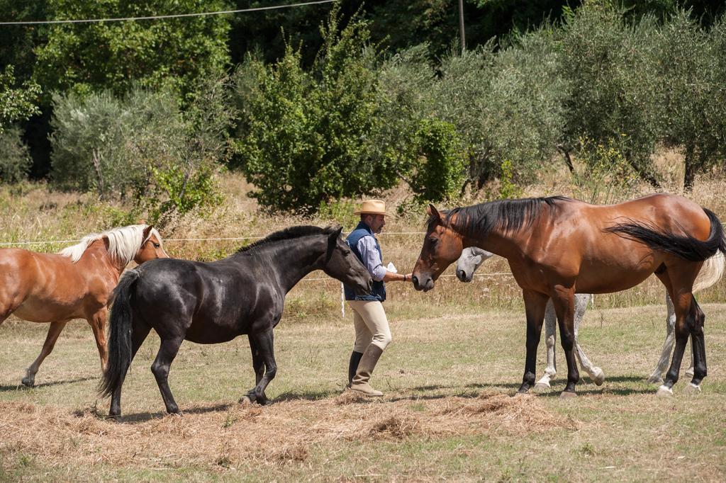Podere Il Poggiolo Pontassieve Kültér fotó
