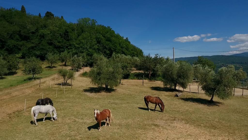 Podere Il Poggiolo Villa Rufina Kültér fotó